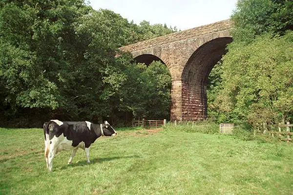 Crowdundle Viaduct..