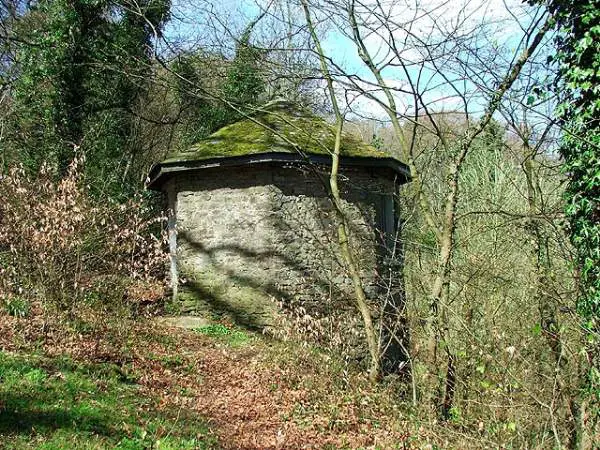 Kendal - Serpentine Woods