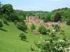 Barrow-in-Furness - Furness Abbey