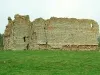 Bew Castle