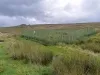 Blea Moor tunnel