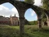Calder Abbey Ruins and Mansion