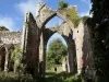 Calder Abbey Ruins and Mansion