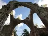 Calder Abbey Ruins and Mansion