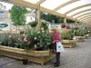 Houghton Hall Garden Centre