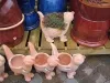 Houghton Hall Garden Centre