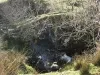 Ennerdale - Cold Fell - Monk\'s Bridge