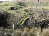 Ennerdale - Cold Fell - Monk\'s Bridge