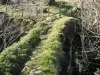 Ennerdale - Cold Fell - Monk\'s Bridge