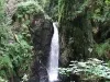 Eskdale - Stanley Ghyll Force