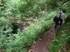 Eskdale - Stanley Ghyll Force