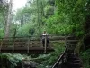 Eskdale - Stanley Ghyll Force