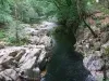 Eskdale - Stanley Ghyll Force