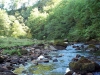 Gilsland - Irthing Gorge