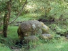 Gilsland - Irthing Gorge