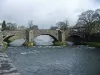 Nether Bridge 
