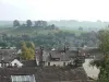 Kendal Castle
