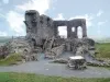 Kendal Castle
