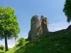 Kendal Castle