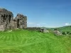 Kendal Castle