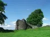 Kendal Castle