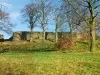 Kendal Castle