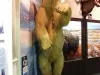 Kendal - Museum of Natural History and Archaeology