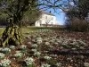 Lamplugh