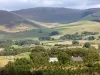Lamplugh