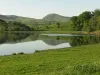 Lamplugh