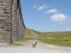 Ribblehead Viaduct