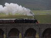 Ribblehead Viaduct