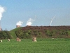 Seascale - Grey Croft Stone Circle
