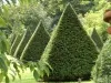 Sizergh Castle and Garden