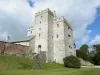 Sizergh Castle and Garden