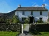 Yew Tree Farm, Coniston.