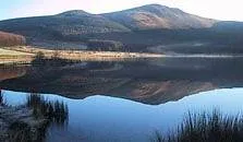 an image of cogra moss