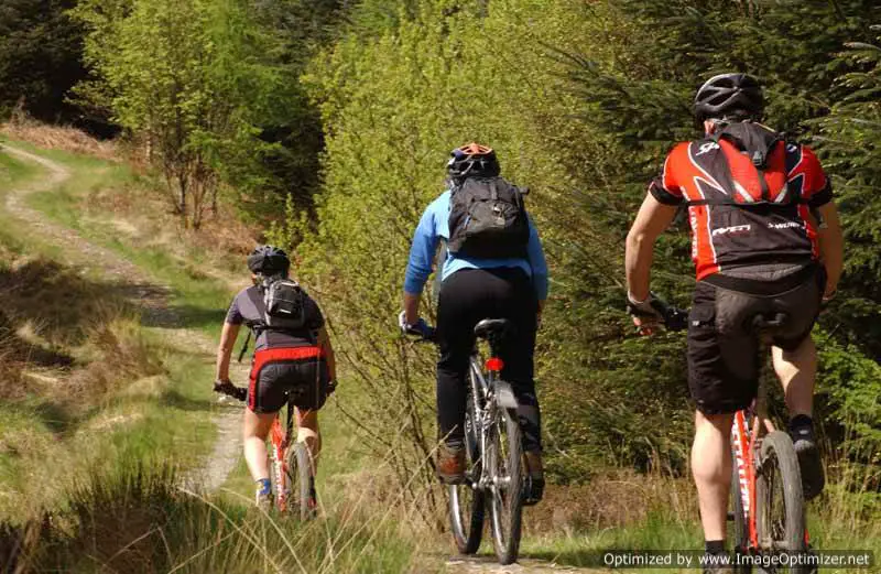 image of 3 people on mountain bikes