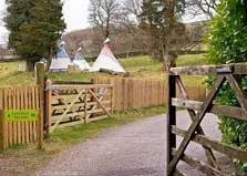 image of tipis in a field for Lake District camping