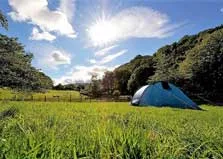 image of a tent in a field at the YHA Patterdale campsite in the Lake District