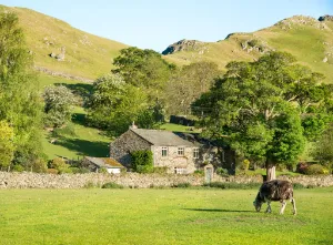 Swinsty, a stone built holiday cottage with mountains as a background