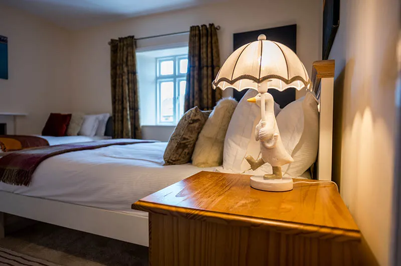 image of a duck shaped lamp in the twin bedroom at Abbey Farm Guest House at Lanercost near Brampton in cumbria