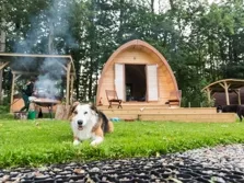 Image of a dog lying on the grass in front of a glamping pod in cumbria. A line of trees is behind the pod and there is a covered hot tub beside the pod