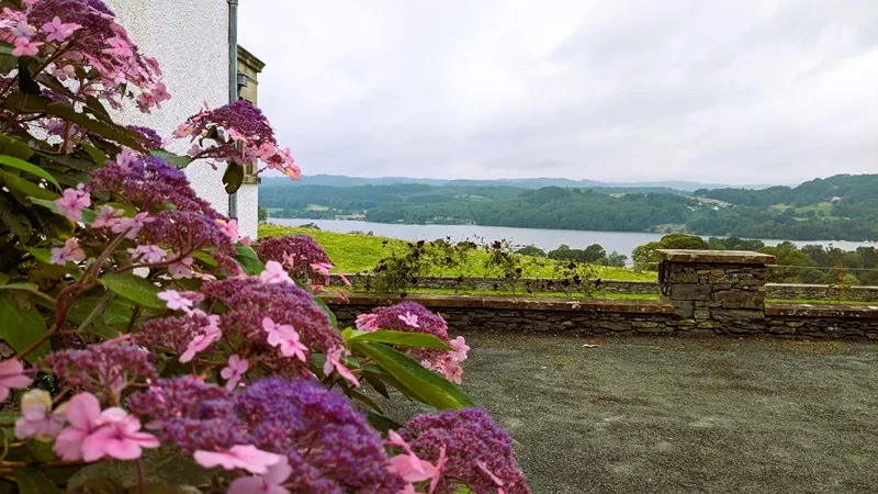 image of the view from Blackwell and some flowers in the foreground