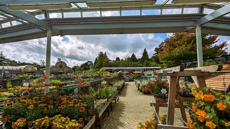 Image of Hayes Garden World, photo shows lots of plants and flowers in the courtyard with the famous crystal palace in the background