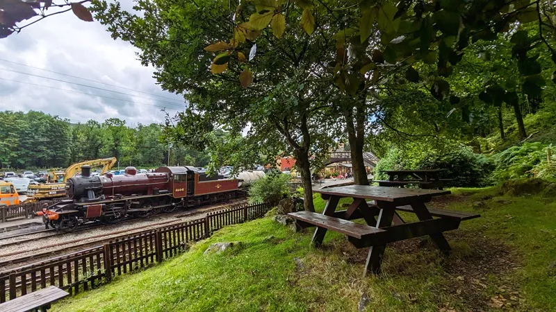 Image of the picnic area at haverthwaite station with an old steam train in the background