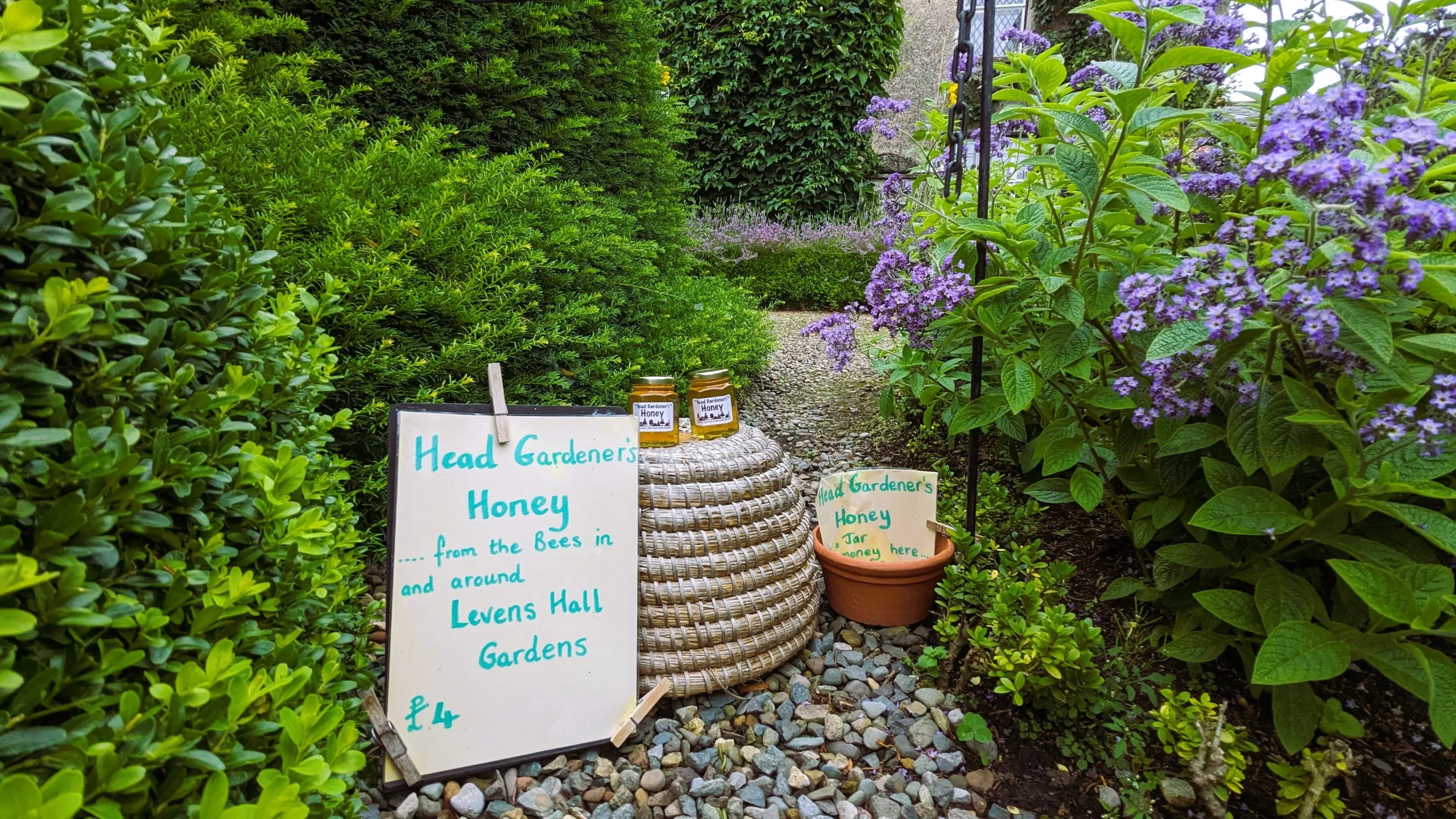 image of the honey that is made at Levens Hall